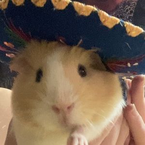 Meet your Posher, Jonathan